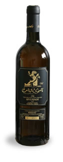 CARGA Sivi Pinot@`K Vr sm