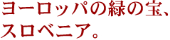 [bp̗΂̕A
XxjAB