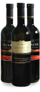 QUERCUS クエルクス